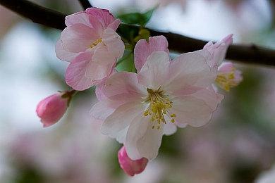 《绝地潜兵2》引擎是“废弃软件” 开发商没有任何支持